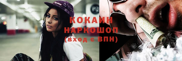 соль ск Козловка