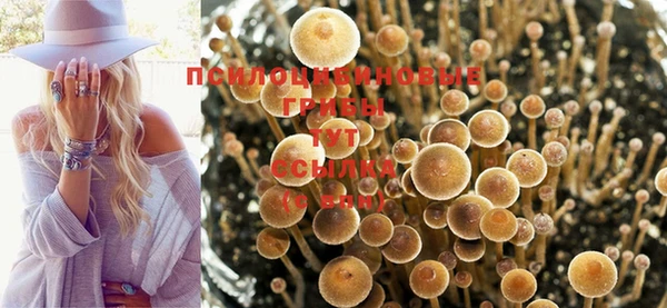 соль ск Козловка