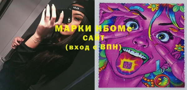 соль ск Козловка