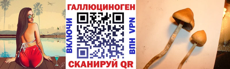 Галлюциногенные грибы Magic Shrooms  Купить где  Гусев 